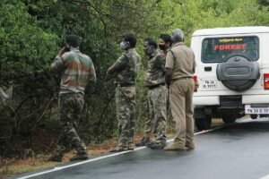 Erode: Children lost in the forest; forest department intervenes; how were they rescued in 5 hours?