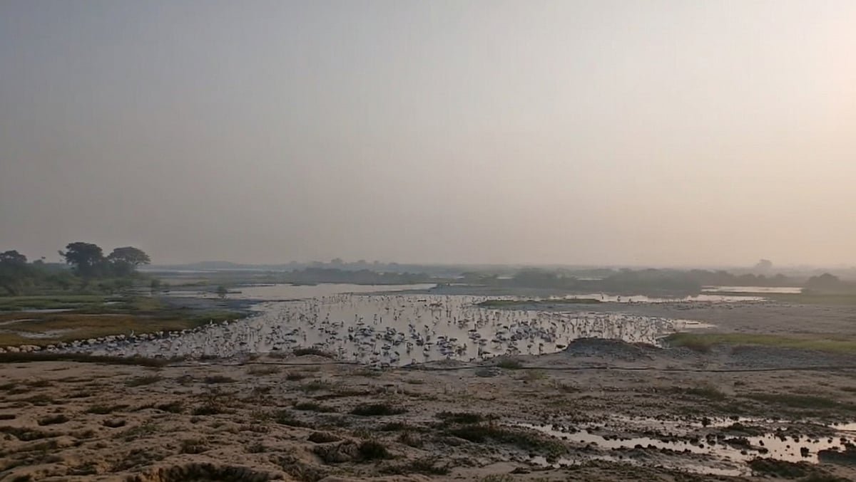 நெம்மேலி ஏரி