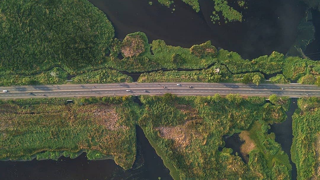 பள்ளிக்கரணை சதுப்பு நிலம்