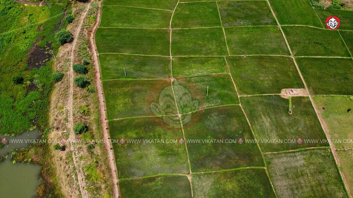 தொண்டாமுத்தூர் தொகுதி