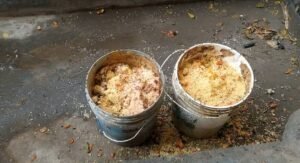 Coimbatore: Health issues among students after eating midday meal at government school – Shocking background!