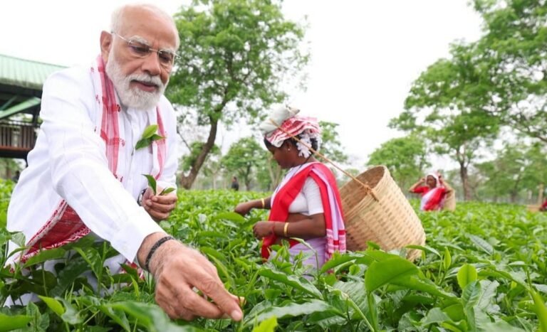 “50,000 people have come from UP to vote in Assam” – Mamata’s ‘Pakir’ accusation.