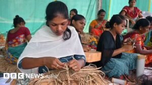 Video: Andhra women making handicrafts from sky lotus
