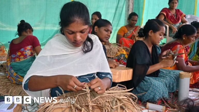 Video: Andhra women making handicrafts from sky lotus