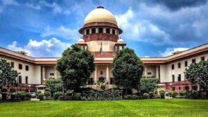 Stray dogs can no longer be released in public places! State governments… – Supreme Court takes a strong stand!