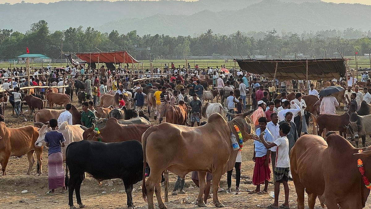 மேற்கு வங்க மாட்டுச் சந்தை