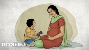 ‘Less than half of Bihar’s in Tamil Nadu’: Challenges awaiting as childbearing declines in India