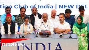What did Thirumavalavan say at the INDIA alliance meeting, criticizing Congress and referring to DMK?