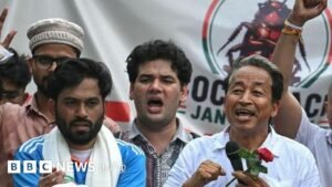 What are international media saying about the Cockroach Janata Party?