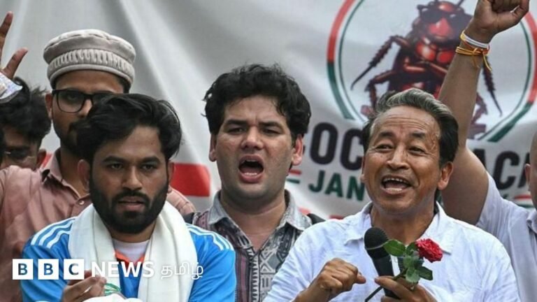 What are international media saying about the Cockroach Janata Party?