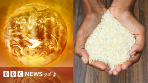 Will food prices rise in India due to El Niño? – The challenges farmers to fishermen are likely to face