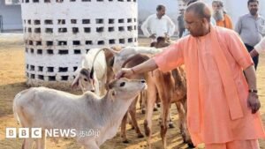 Muslim leaders demand that the cow be declared the national animal – what is the BJP’s response?