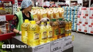 Cooking oil: How did India, once self-sufficient, become the world’s largest importer?