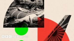 ‘Political pressure, the influence of large corporations’ – controversy over the cause of the Air India plane crash