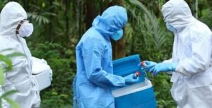 One person infected with Nipah virus in Kerala: preventive measures intensified