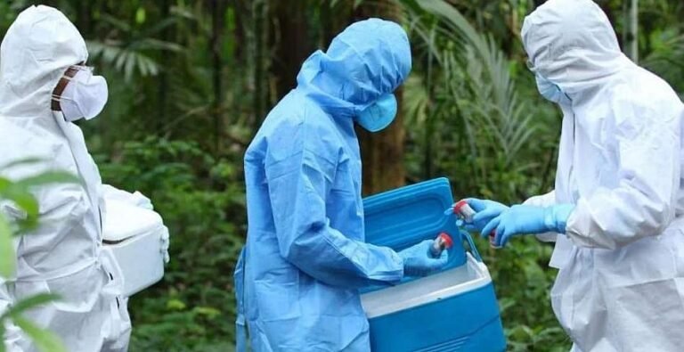 One person infected with Nipah virus in Kerala: preventive measures intensified