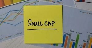 ‘Small Cap stocks are continuing to perform well!’ Is that a good choice for investors?