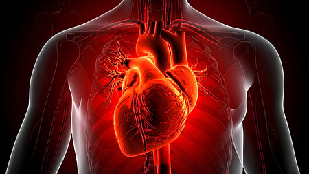 Higher plastic particles in the blood of heart attack patients! Shocking information in a study