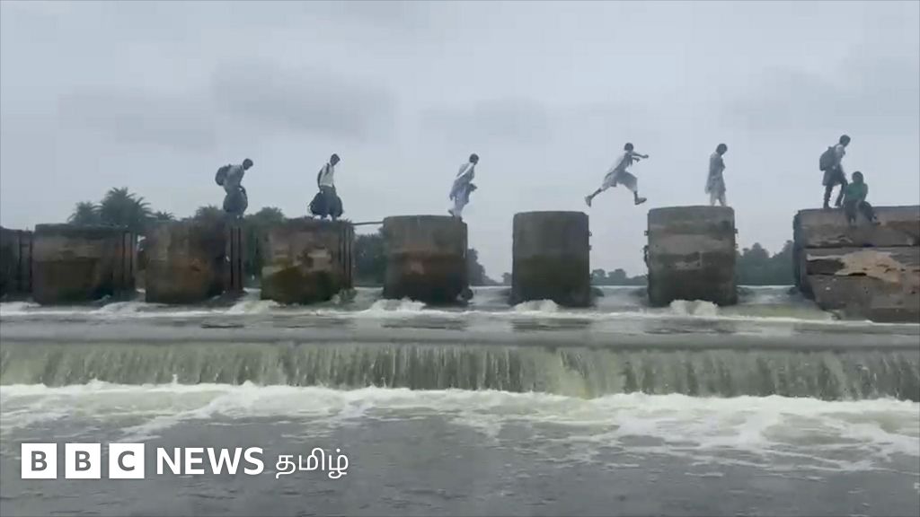 'Students who jumped on the barrage pillars and went to school' – What happened after the viral video?