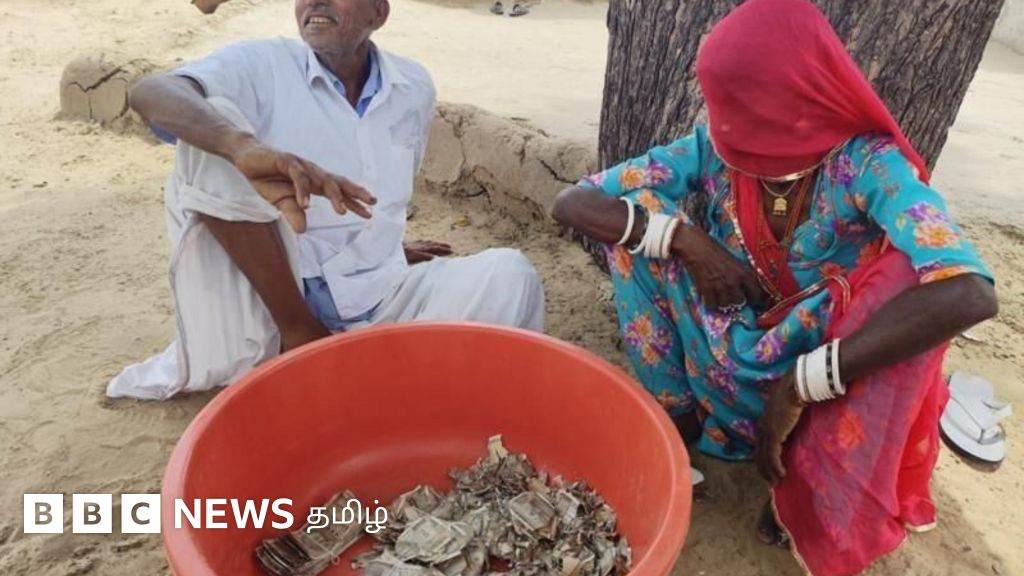 The sorrow of termites eating away Rs. 5 lakh buried in a field out of fear of rain; elderly couple in pain, unable to replace it