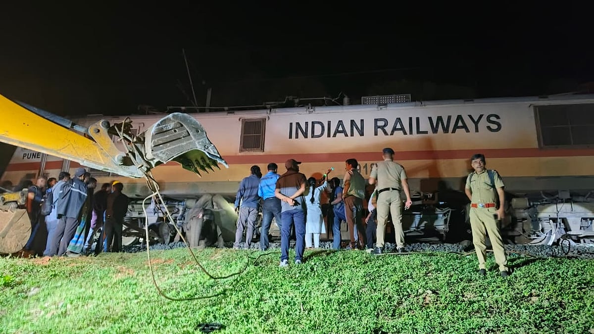 Mother elephant and calf killed after being hit by a train on the Tamil Nadu–Kerala border! Tragedy on Elephant Day!