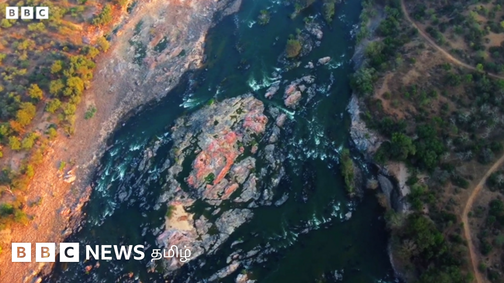 Video: Why is there opposition even in Karnataka to building the Mekedatu dam? BBC Tamil field report