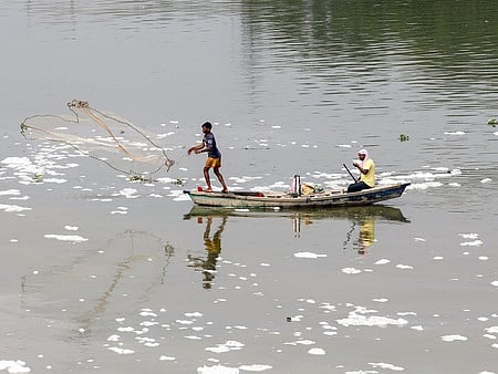 Microplastics are more abundant in Delhi Yamuna fish than in Haryana: study reveals information