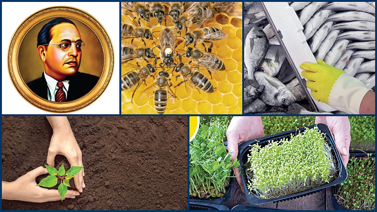Agricultural Budget 2026-27: Ambedkar Agricultural Assistance Scheme to benefit SC and ST farmers