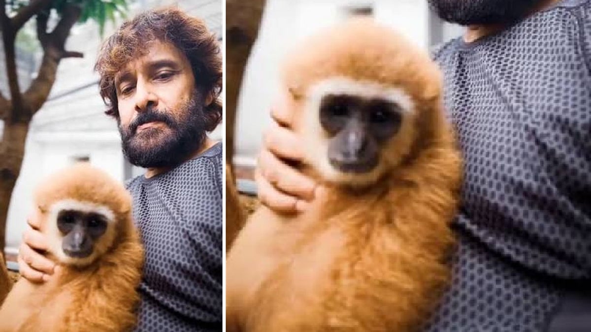 Video released by actor Vikram with a monkey: Forest department investigation at M. K. Muthu’s house