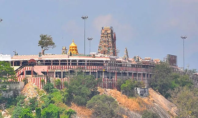 Palani temple land irregularity case: verdict today on anticipatory bail petitions