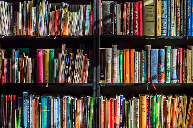 The decline in the habit of reading books is worrying: Vice President of the Republic