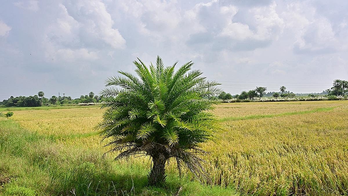 Farmers strongly oppose land acquisition for the SIPCOT industrial park near Parandur -