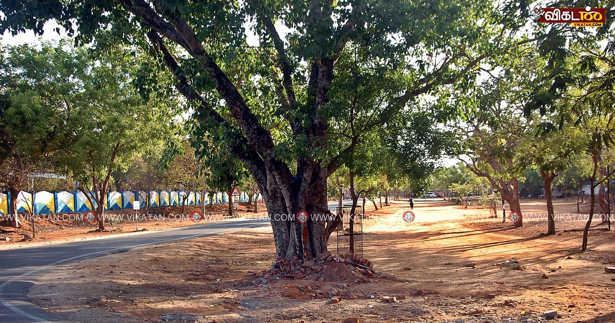 Thoothukudi: Demolished Vinayagar temple; villagers continue to worship by lighting camphor and singing bhajans