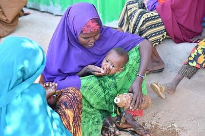 Food wasted and hunger! Do you know the value of the food thrown into the trash in a year?
