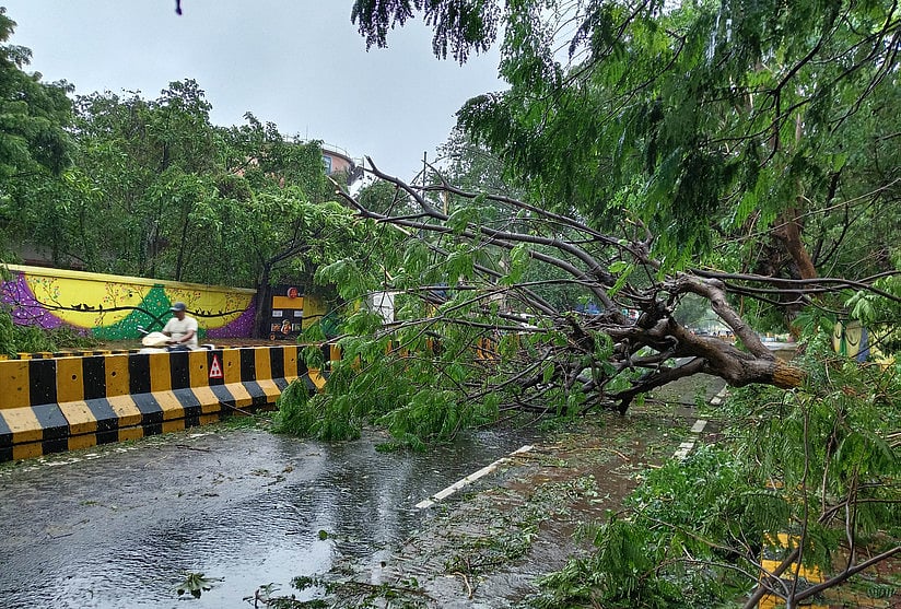"Arnab" cyclone crosses the coast: 7 dead in Andhra Pradesh – rescue operations intensify