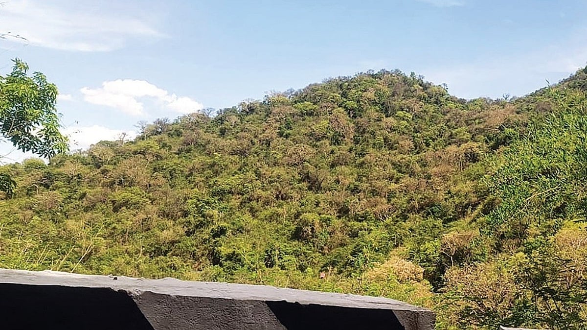 Were forest rights certificates issued to people who are not hill-dwelling residents in Kalvarayan Hills?
