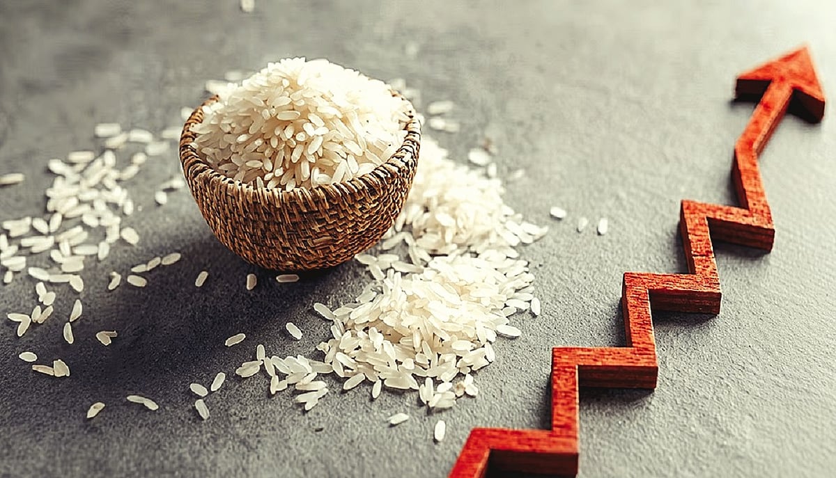 From Ponni rice to idli rice... why the continuous price hike?
