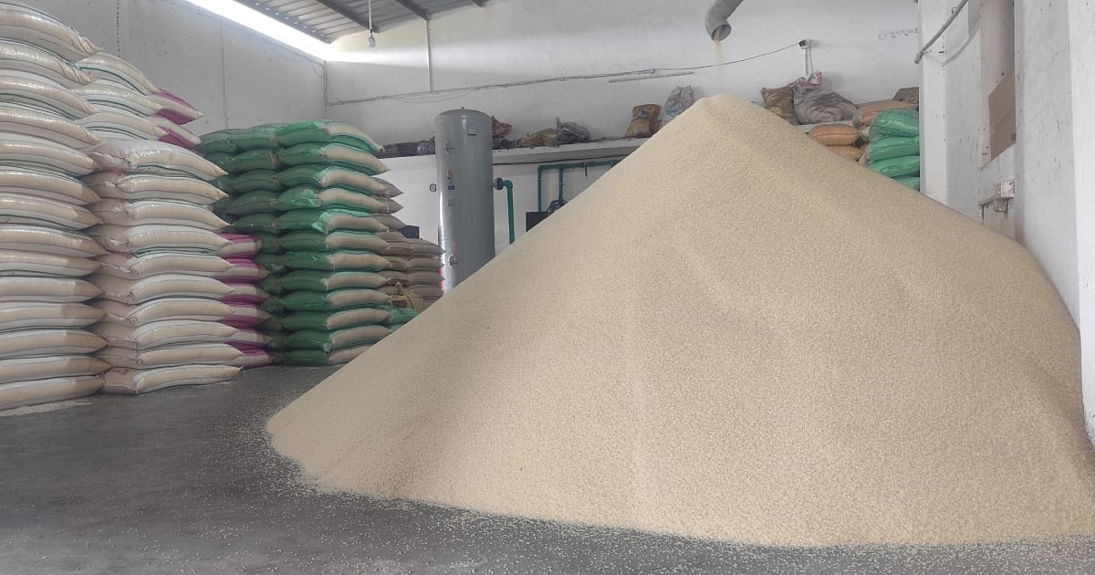 25% of rice mills at risk of closure: paddy traders urge government to control price increases