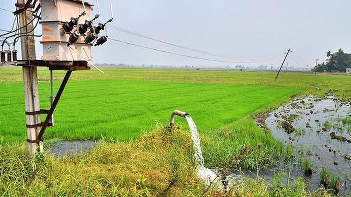 Free electricity connection for 50,000 farmers: Tamil Nadu government issues government order